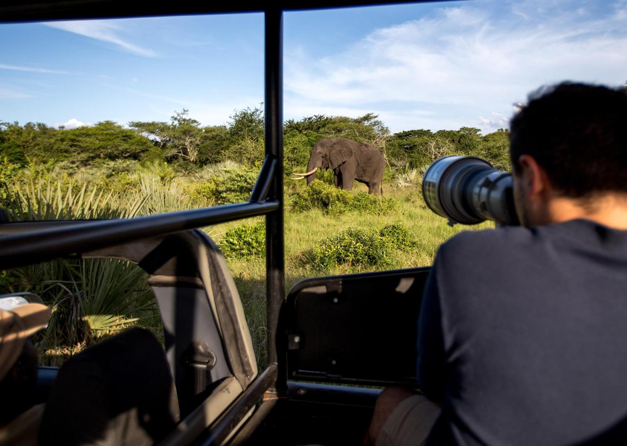 Royal Thonga Safari Lodge Sihangwane Eksteriør billede