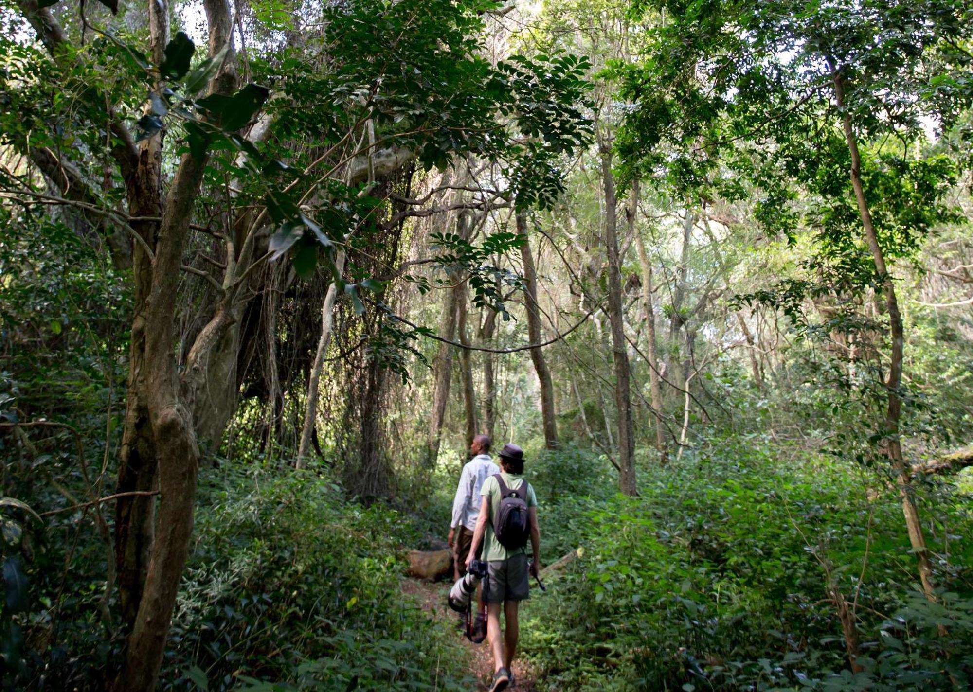 Royal Thonga Safari Lodge Sihangwane Eksteriør billede
