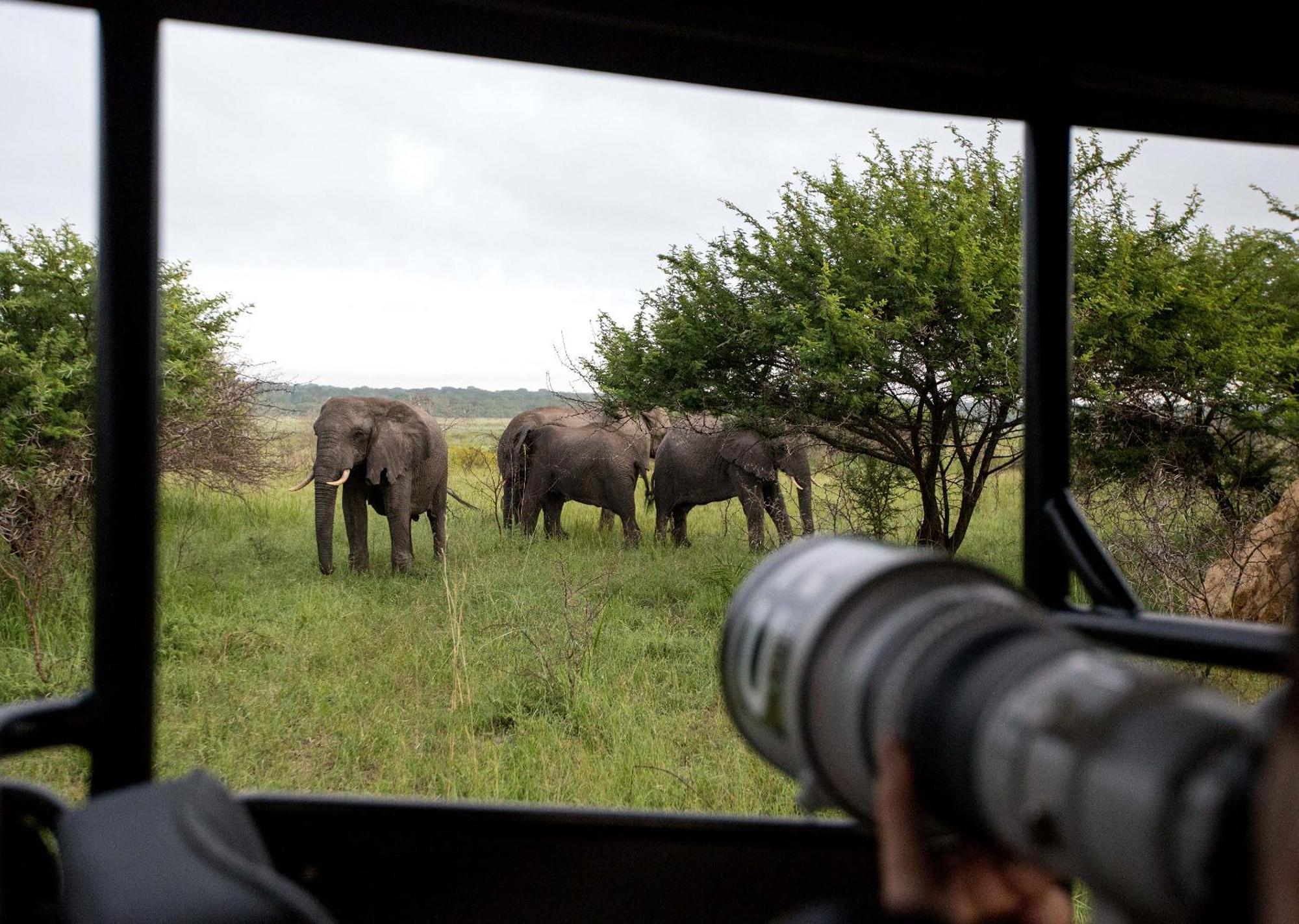 Royal Thonga Safari Lodge Sihangwane Eksteriør billede