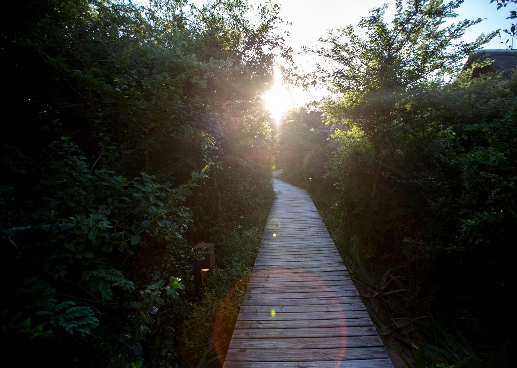 Royal Thonga Safari Lodge Sihangwane Eksteriør billede