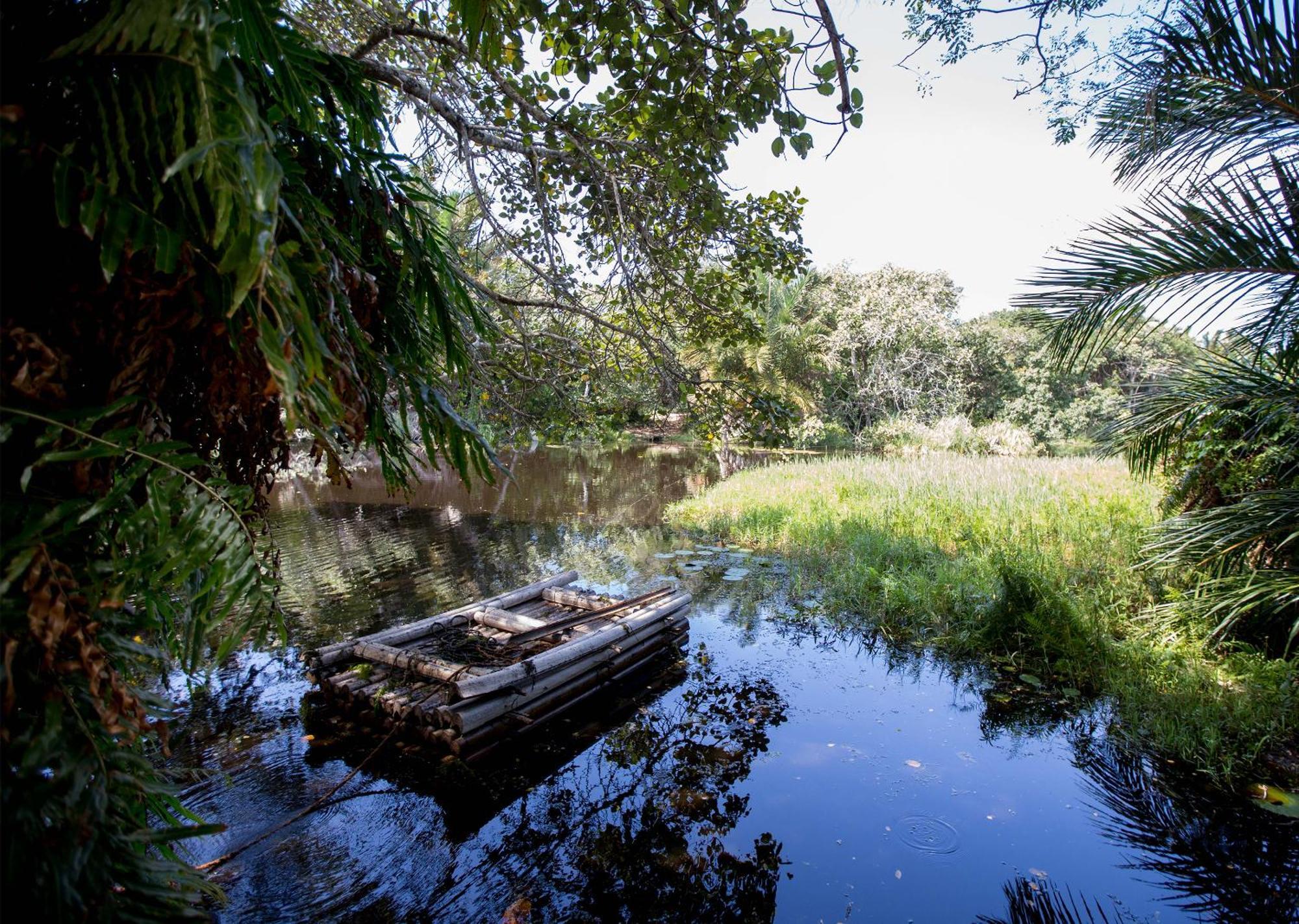 Royal Thonga Safari Lodge Sihangwane Eksteriør billede