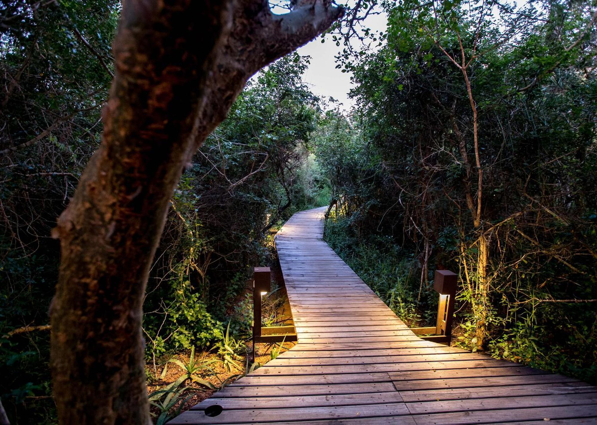 Royal Thonga Safari Lodge Sihangwane Eksteriør billede